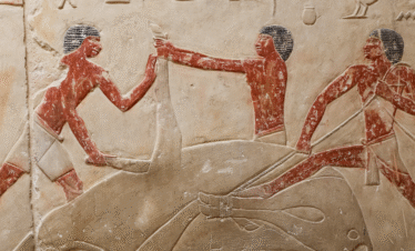 The Noble Tombs at Saqqara