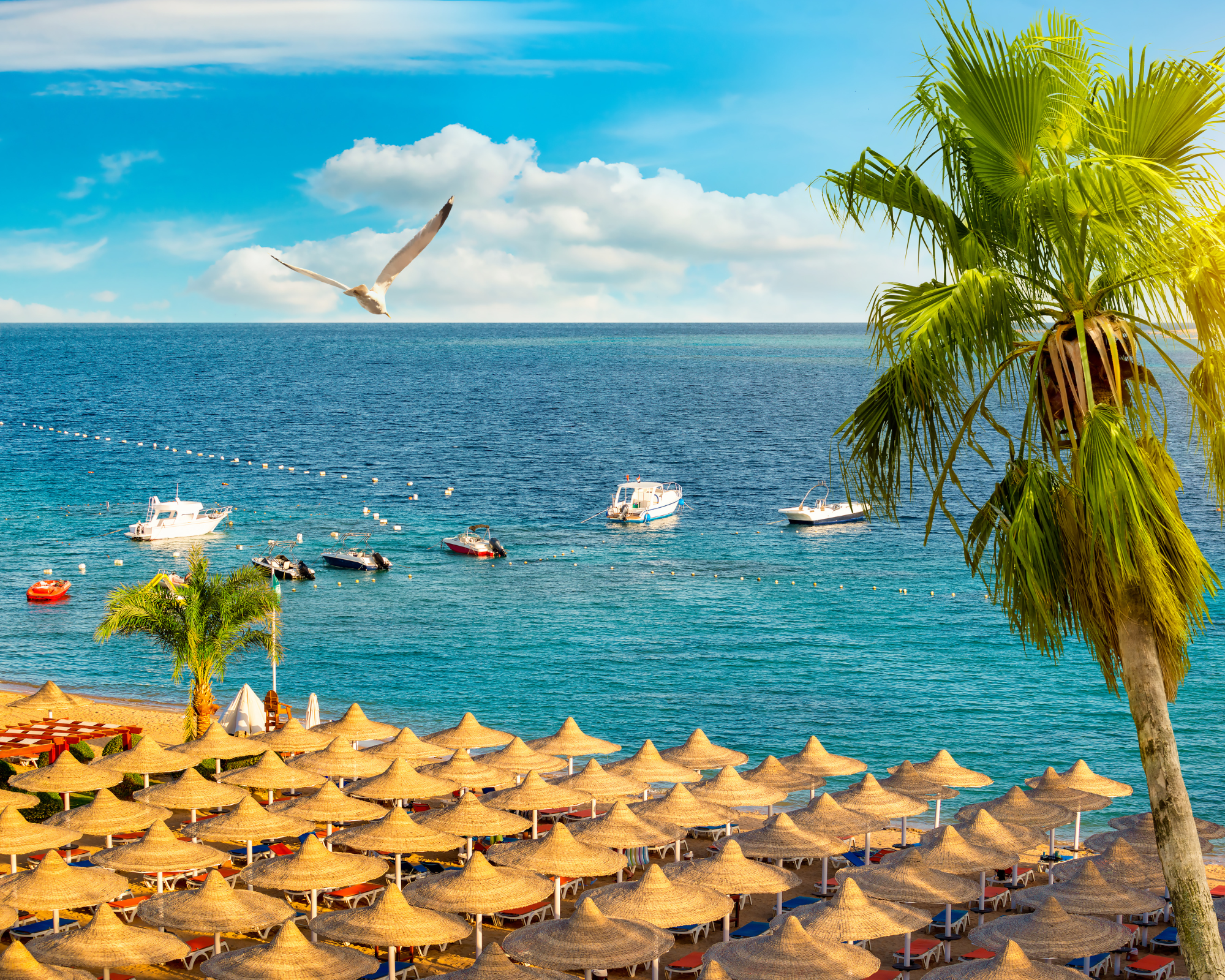Turquoise water and Egypt’s Red Sea