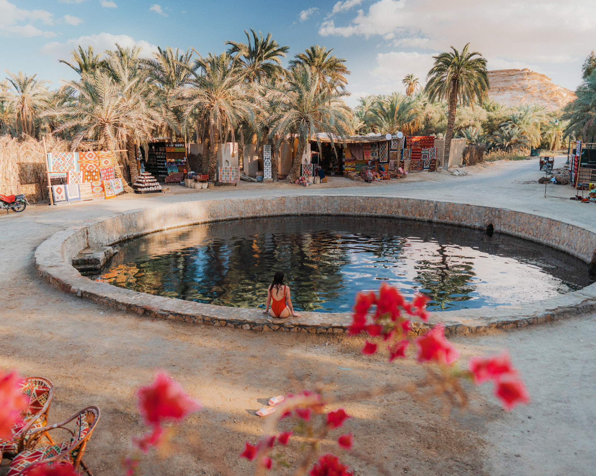 Natural sulfur spring surrounded by palm trees and greenery in Siwa Oasis, Egypt